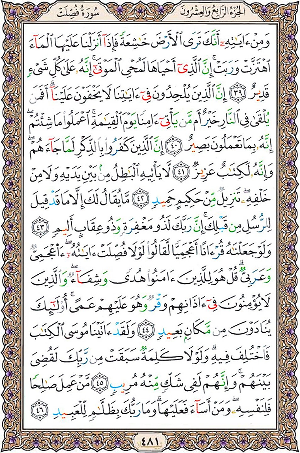 قرآن  عثمان طه با کیفیت بالا صفحه 481