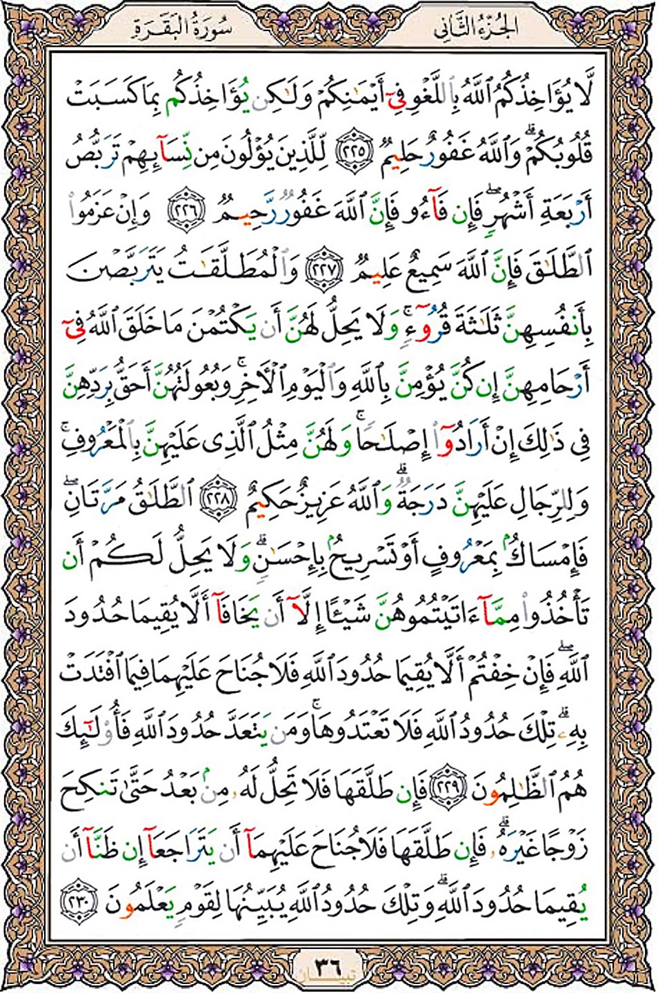 قرآن  عثمان طه با کیفیت بالا صفحه 36