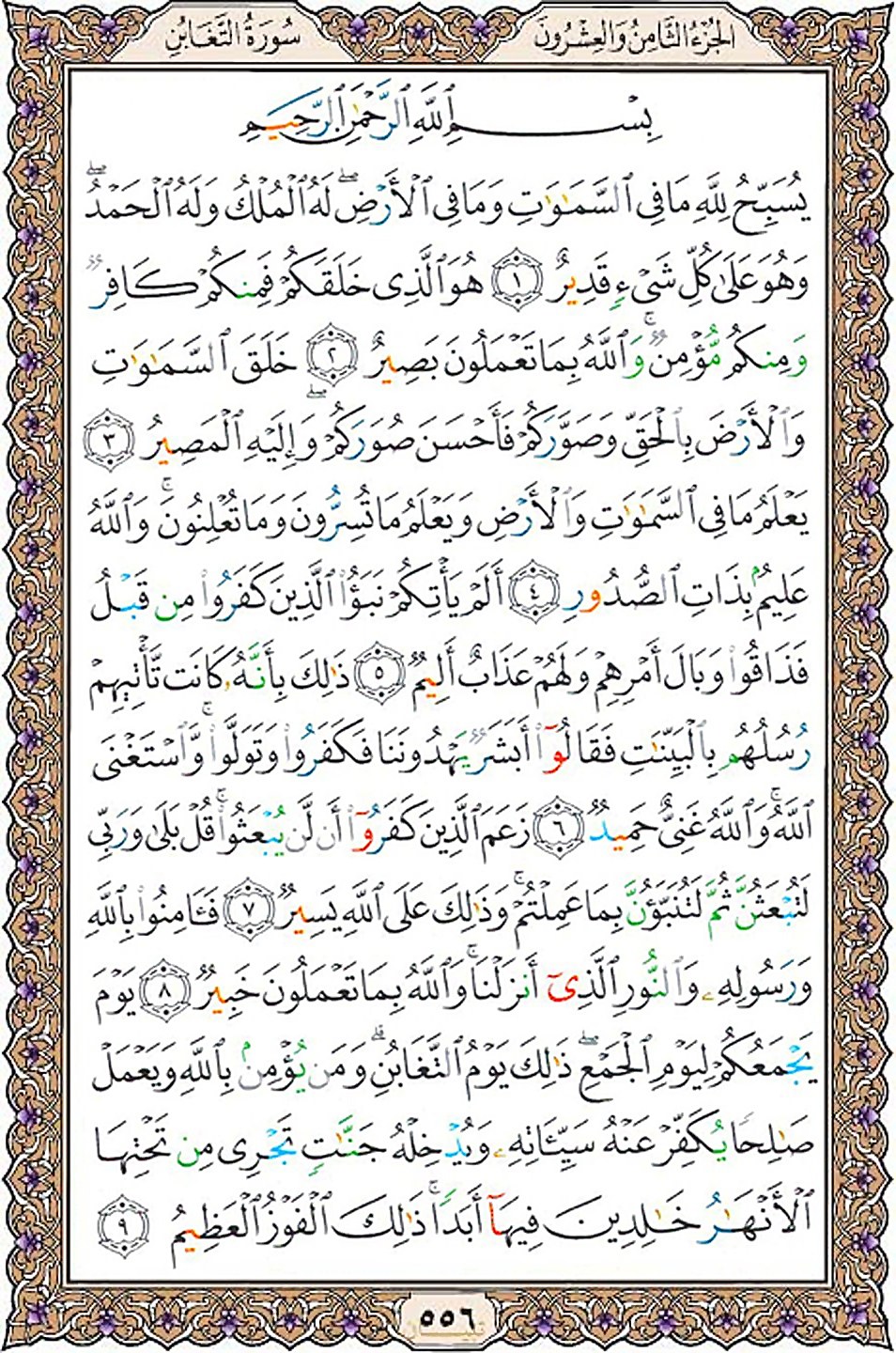 قرآن  عثمان طه با کیفیت بالا صفحه 556