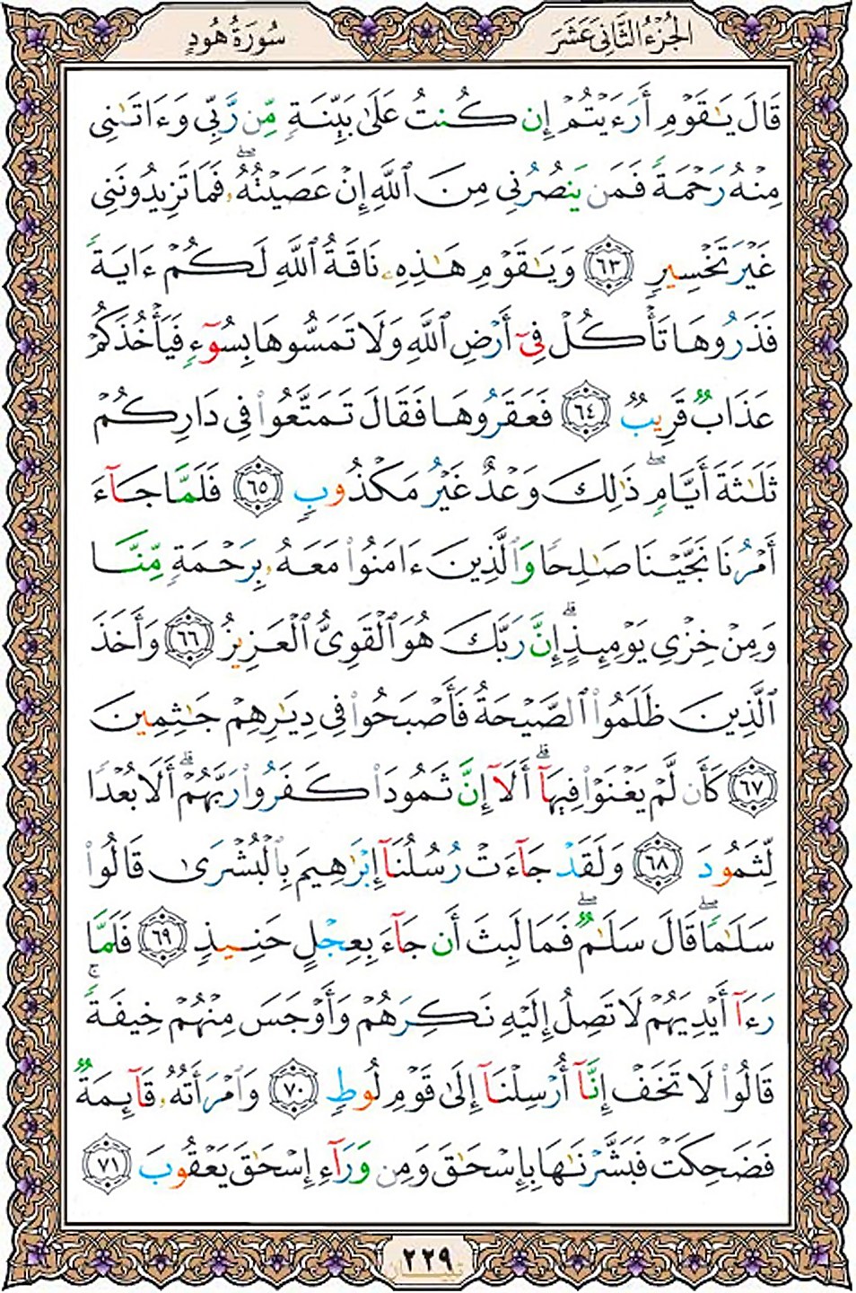 قرآن  عثمان طه با کیفیت بالا صفحه 229