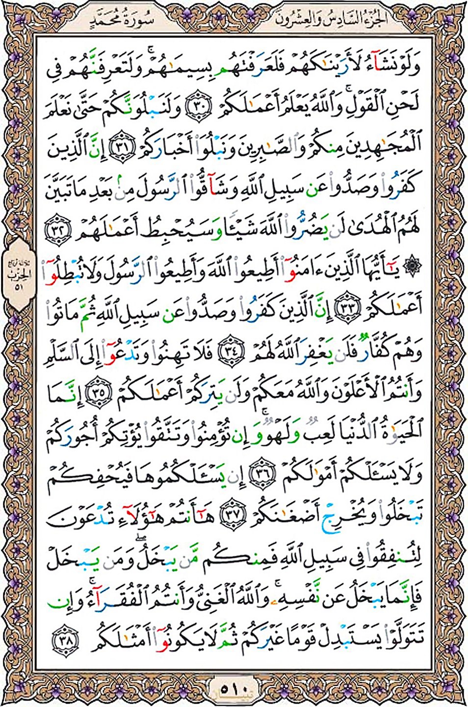 قرآن  عثمان طه با کیفیت بالا صفحه 510