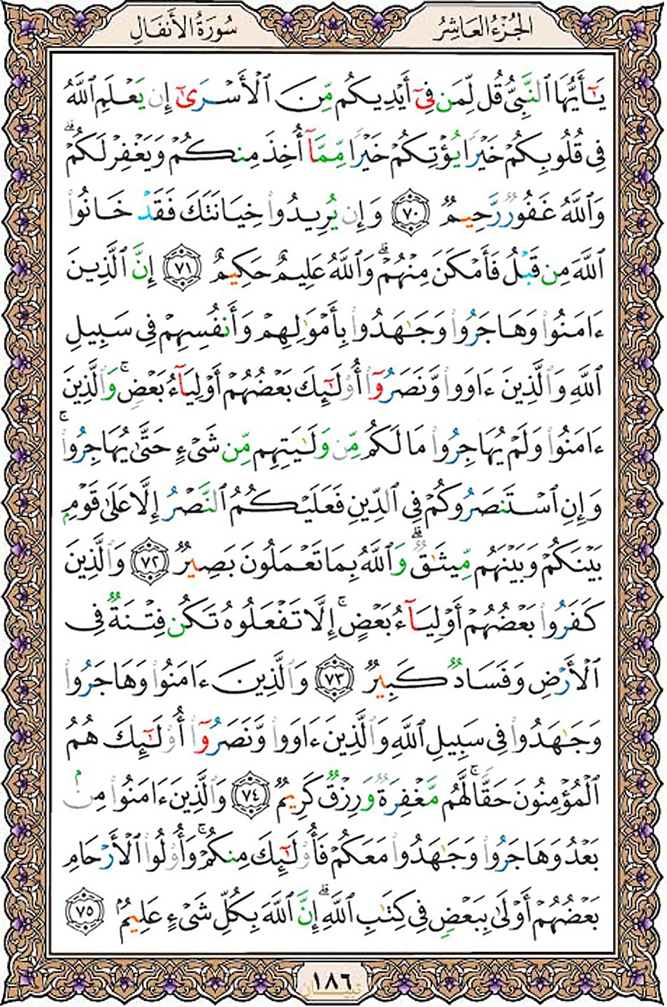 قرآن  عثمان طه با کیفیت بالا صفحه 186